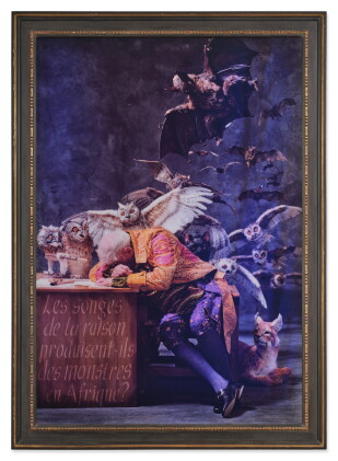 Catalog image of The Sleep of Reason Produces Monsters (Africa)