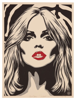 Catalog image of DEBBIE HARRY ZEBRA SKIN