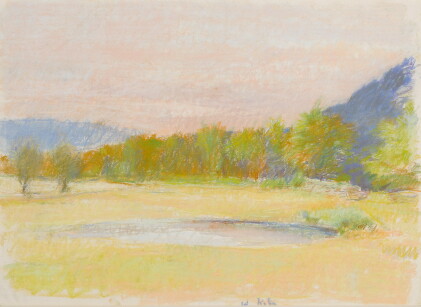 Catalog image of wolf kahn | small pond in a meadow