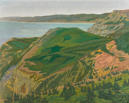 Catalog image of The Dorset Cliffs