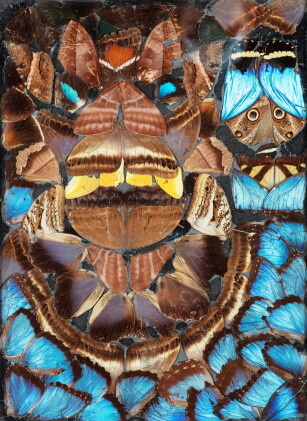 Catalog image of Untitled