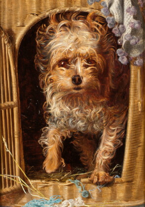 Catalog image of anthony frederick augustus sandys | darby in his basket kennel