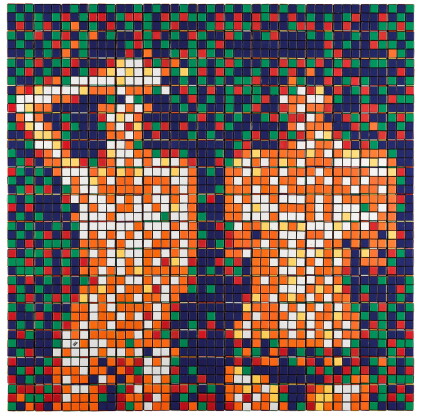 Catalog image of invader | rubik country life