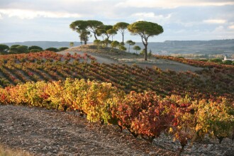 View 1 of Lot 135: Vega Sicilia 'Unico' 2000  (3 BT)