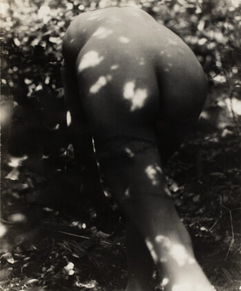 Catalog image of raoul hausmann | ruckenakt, vers 1930