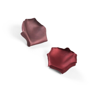 Catalog image of paire de clips d'oreille aluminium, jar | aluminium ear clips, jar