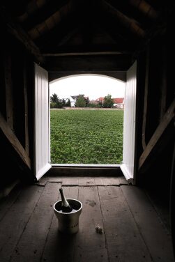 View 1 of Lot 8439: Krug 1988 (6 BT)