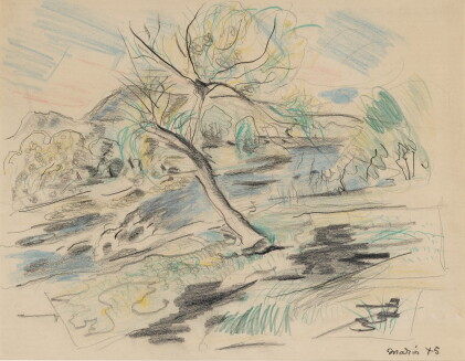 Catalog image of john marin | ramapo river near suffern, new york