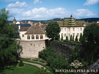 View 1 of Lot 9085: La Romanée 2002 Bouchard Père et Fils (2 BT)