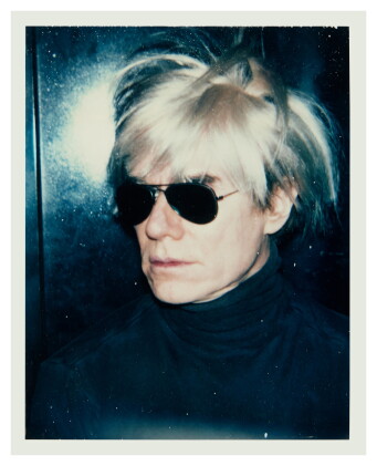 Catalog image of Self Portrait with Fright Wig