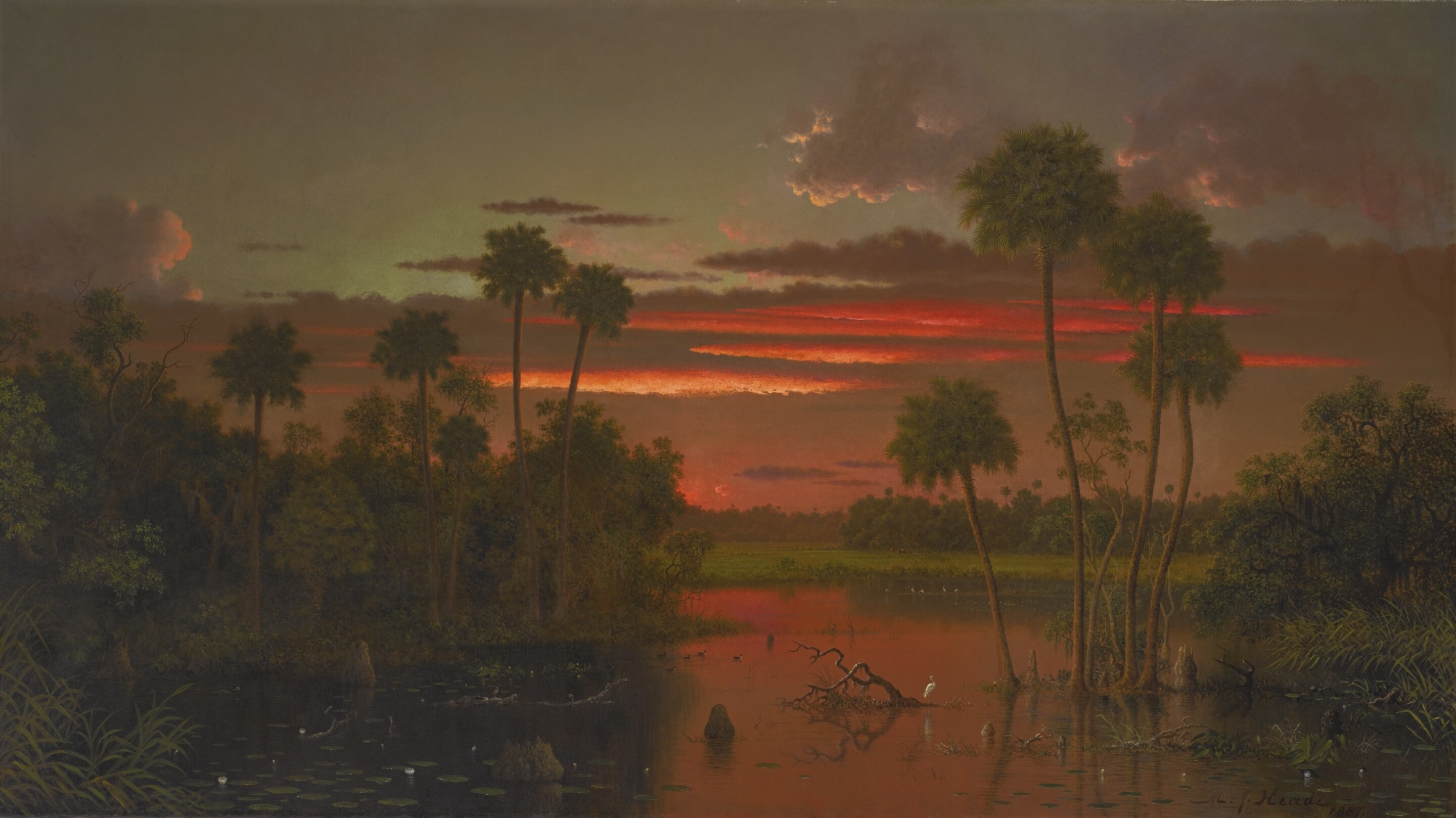 (11) Martin Johnson Heade 1819 1904