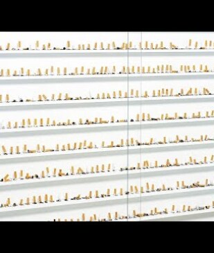 The Dog Days of Damien Hirst