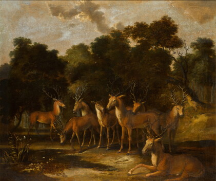 Catalog image of Stags and a hind by a pool in a forest clearing