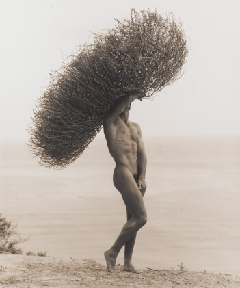 Catalog image of herb ritts | male nude with tumbleweed, paradise cove, 1986