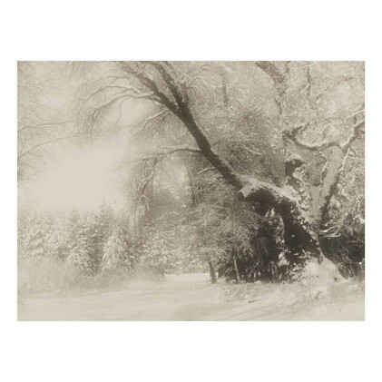 Catalog image of 'Snow Fall'