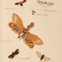 View 2 of Auction: Books, Manuscripts & Music