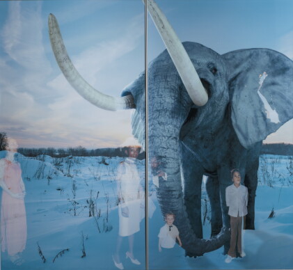 Catalog image of oleg kulik | elephant, from the windows series