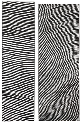 Catalog image of mosquito bore. utopia. n.t. (two works)