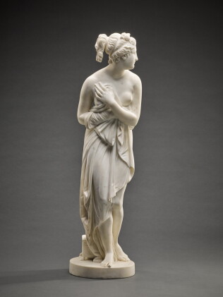 Catalog image of Venus Italica