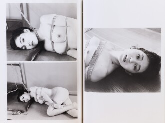 View 1 of Lot 134: Le Journal intime du Japon. Ed. du Solstice, 2007. 24 photographies de Araki. Tirage à 140, 1/100 de sociétaires