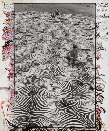 Catalog image of peter beard | 'zebra carpet', ol morani, lariak estate, kenya, august 1960