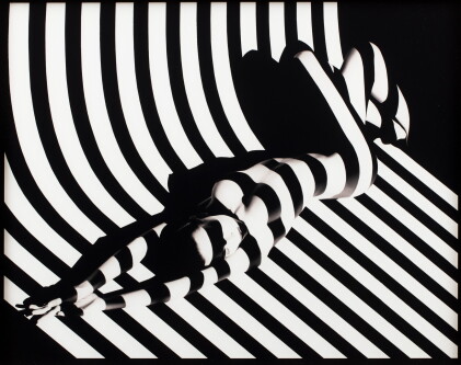Catalog image of francis giacobetti | zebra #17, 1988