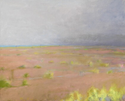 Catalog image of Pale Texas Landscape