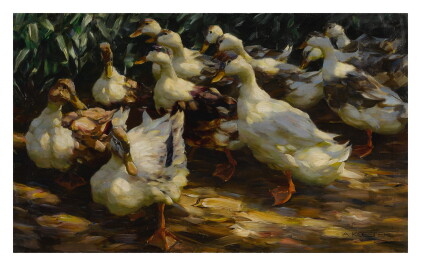 Catalog image of alexander koester | ducks in sunlight