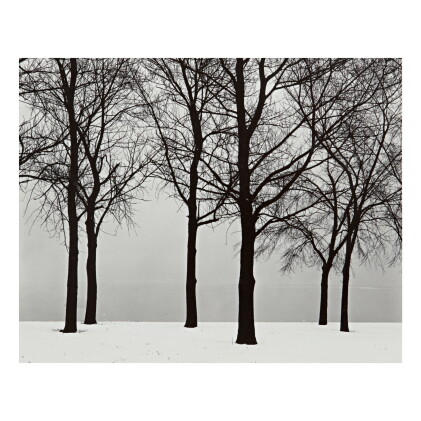Catalog image of harry callahan | chicago