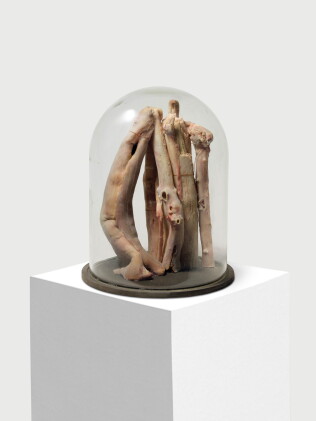 Catalog image of Glass Dome II