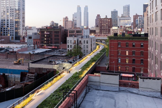 6 High Line - Wildflower Field(3).jpg