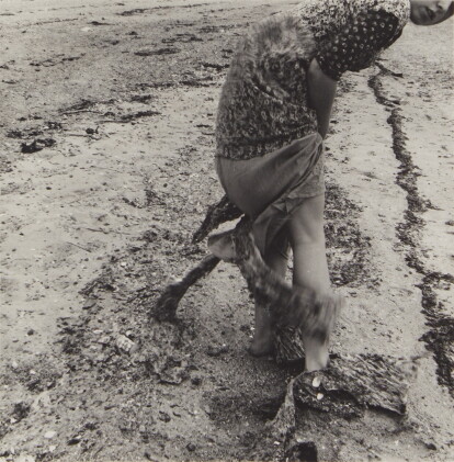 Catalog image of Untitled (Providence, Rhode Island)