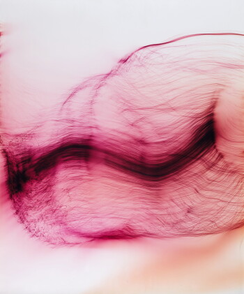 Catalog image of wolfgang tillmans | 'plan', 2007