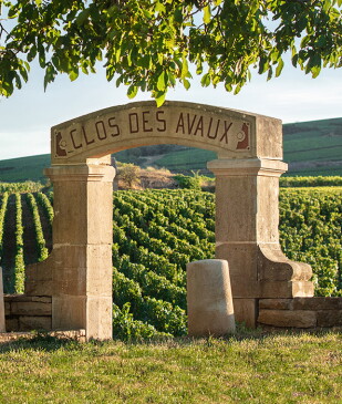 View 2 of Auction: 163e Vente des Vins des Hospices de Beaune