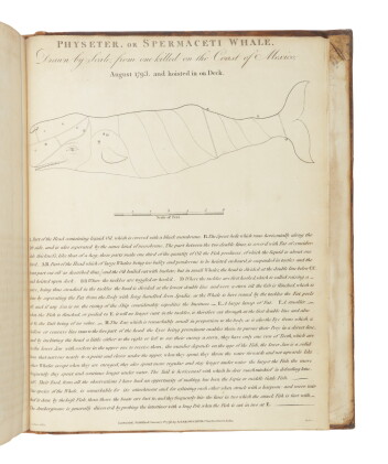 Catalog image of colnett, james | a voyage to the south atlantic and round cape horn into the pa…