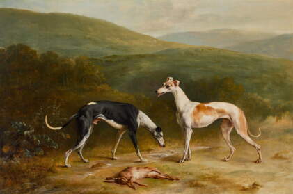 Catalog image of A pair of greyhounds in a landscape