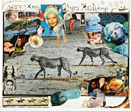 Catalog image of peter beard | hunting cheetahs, taru desert, kenya, june 1960