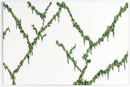 Catalog image of ghost vines (anthem) #3