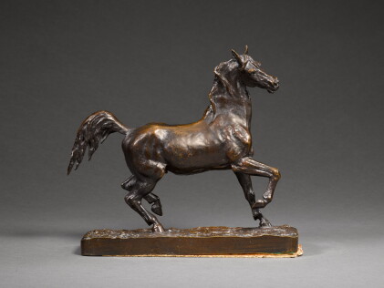 Catalog image of Pacing Stallion looking right
