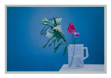 Catalog image of genevieve chua | untitled (still life)