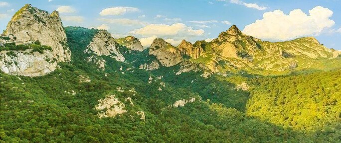 zhang-daqian-6.jpg
