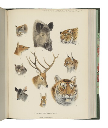 Catalog image of lydekker, richard | the great and small game of europe, western & northern asia…