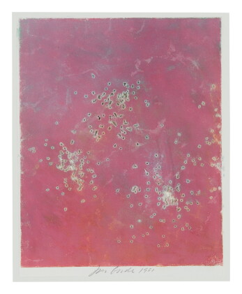 Catalog image of joe goode | untitled (from enviromental impact series)