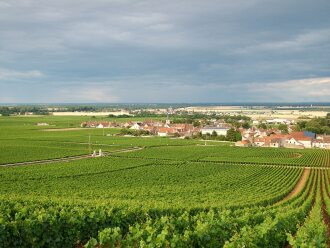 View 1 of Lot 408: Romanée St. Vivant 2015 Domaine de la Romanée-Conti (1 BT)