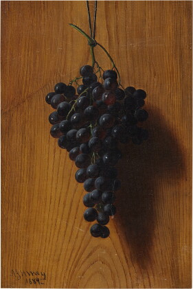 Catalog image of Grapes