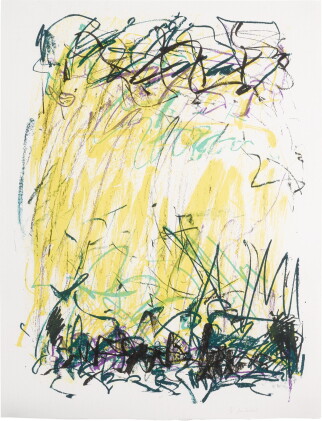 Catalog image of joan mitchell | sides of a river ii