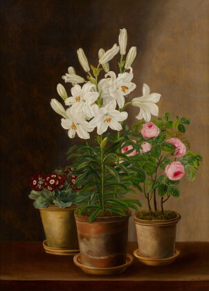 Catalog image of Potted Flowers
