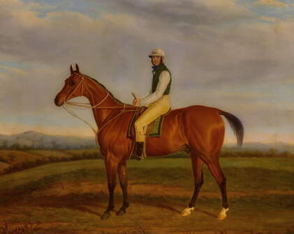 Catalog image of A bay steeplechaser with jockey up