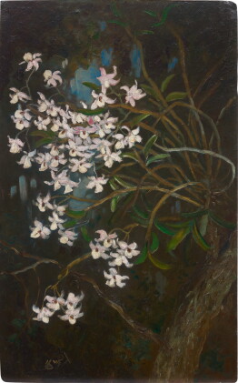 Catalog image of u ngwe gaing | flowers on branches 樹枝花卉