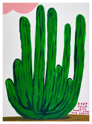 View 1 of Lot 6: Keep Your Ass Away From The Cactus